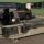 Chemmaster CF 4000 GEA Westfalia Separator 2-fazowa wirówka dekantacyjna
