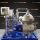 AFPX 810 XGV-17 Alfa Laval Wirówka talerzowa samoczyszcząca - Oryginał może się różnić w pewnych okolicznościach.
